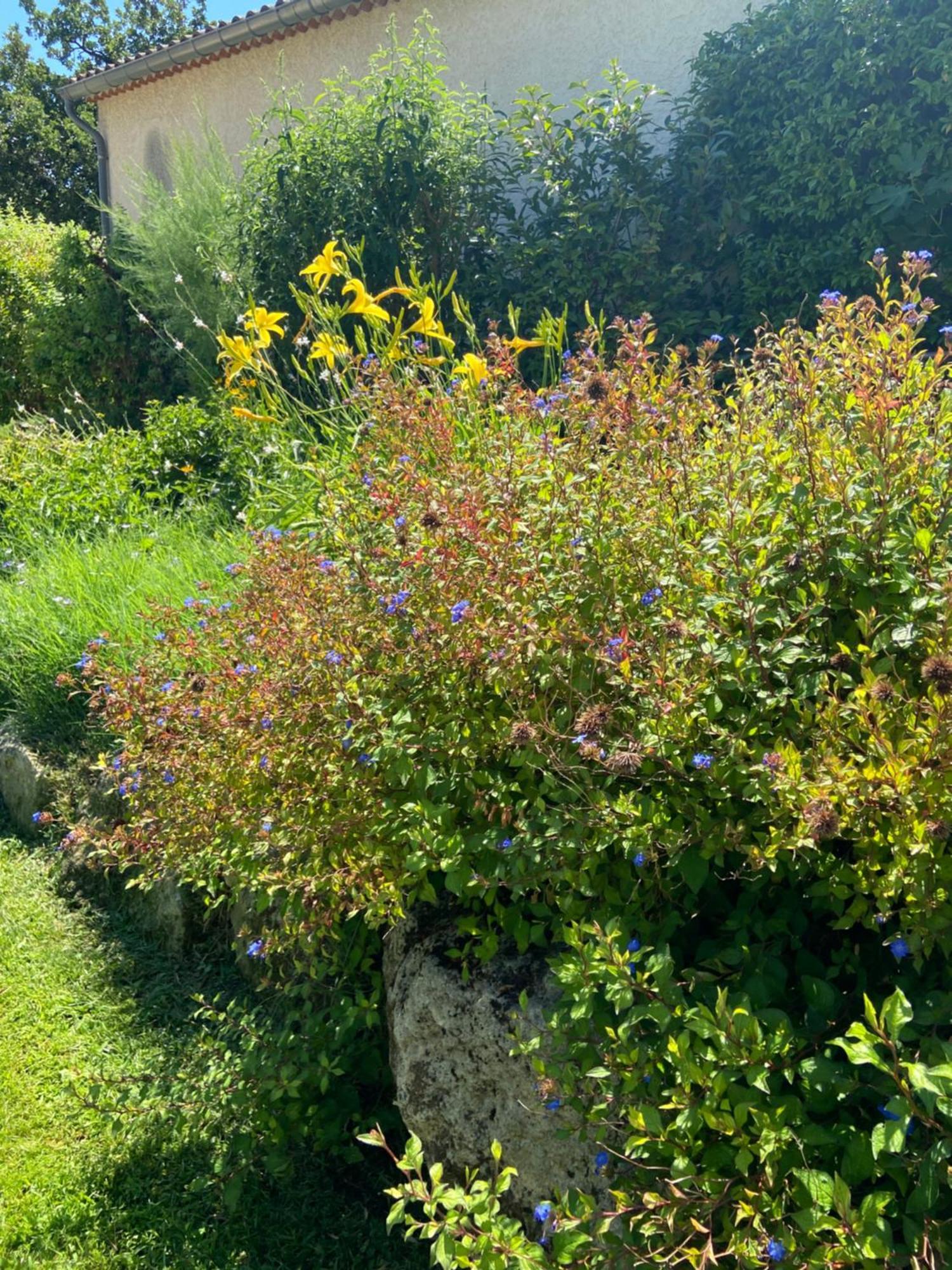Paradis Provencal Villa - Espace Detente Et Bbq Lmv Carpentras Exterior photo
